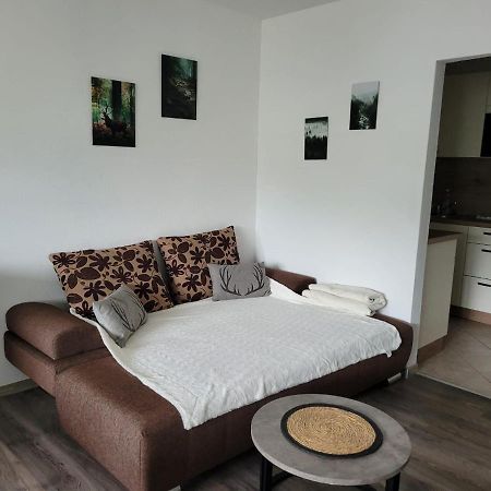 Ferienwohnung Hilde Bad Peterstal-Griesbach Kültér fotó