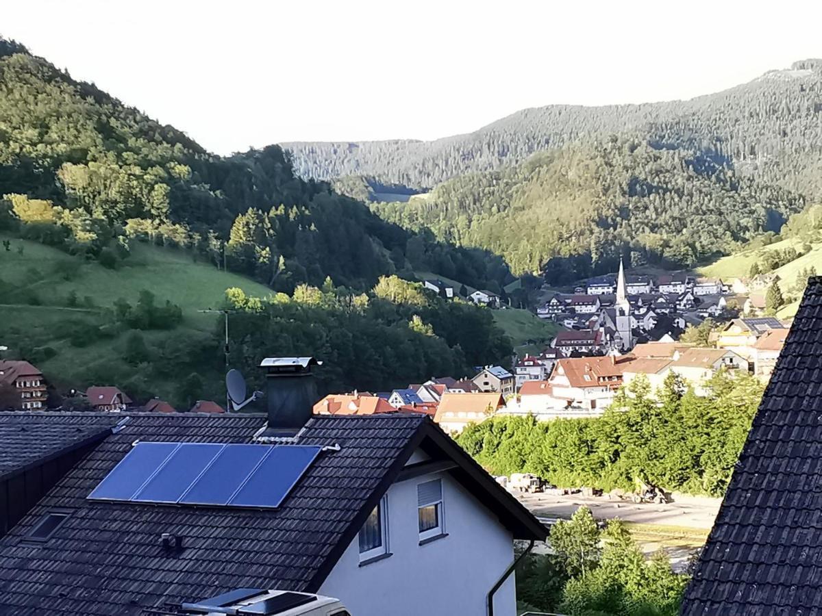 Ferienwohnung Hilde Bad Peterstal-Griesbach Kültér fotó
