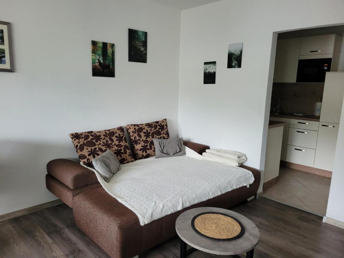 Ferienwohnung Hilde Bad Peterstal-Griesbach Kültér fotó